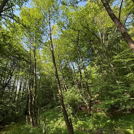 Σπίτι διακοπών Matramelye Vendeghaz *